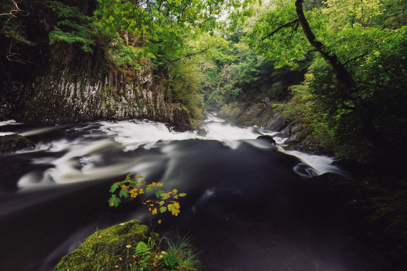 Swallow Falls, lower level