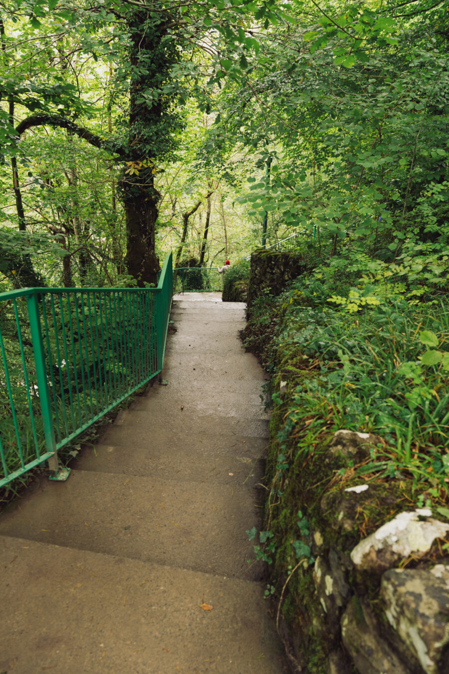 Steps going down to the lower level
