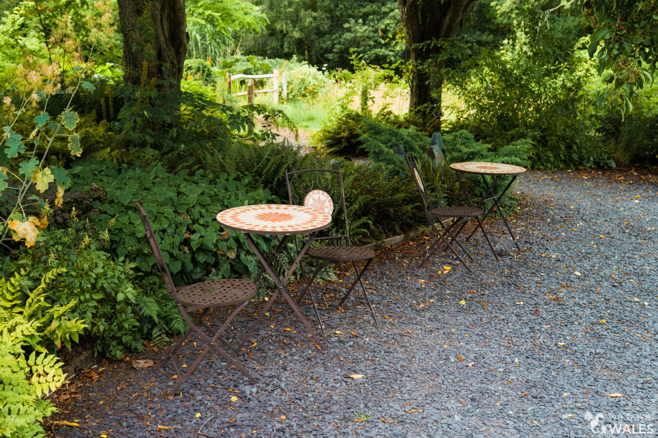 Outdoor tables at Treborth Botanic Garden, Bangor