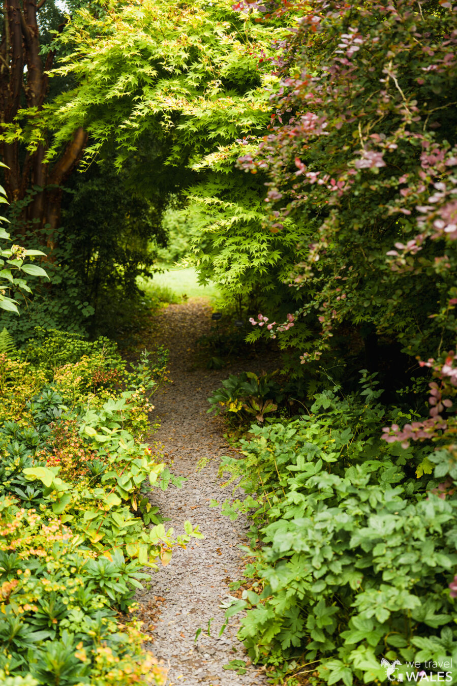 Path through plants and trees