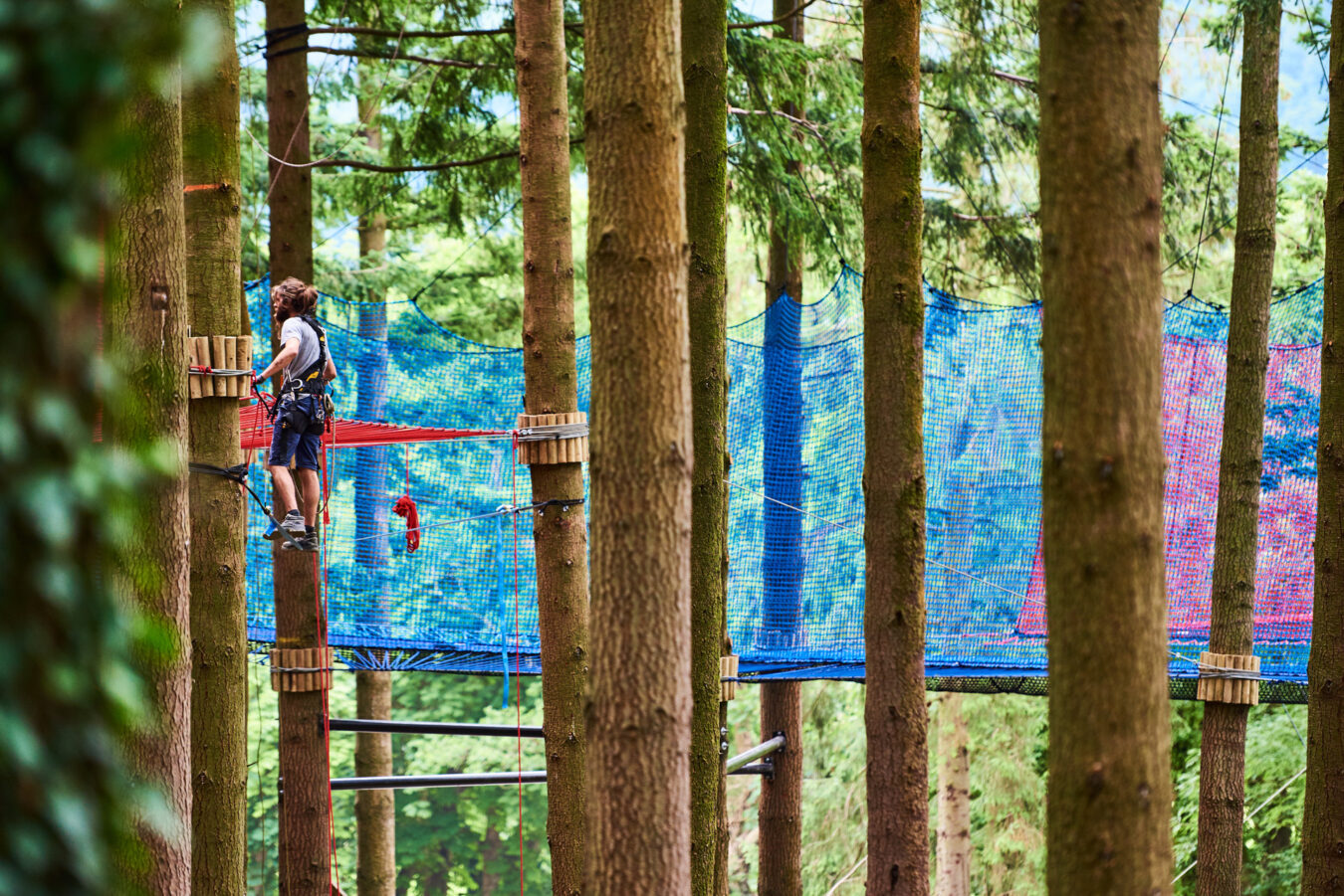 Zip World Fforest, Treetops Adventure