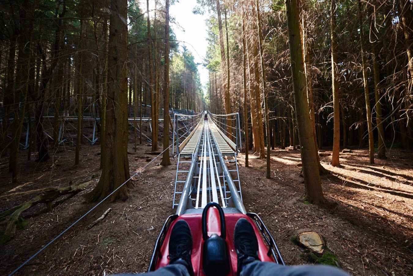 POV of roller coaster through the woods, Zip World Fforest