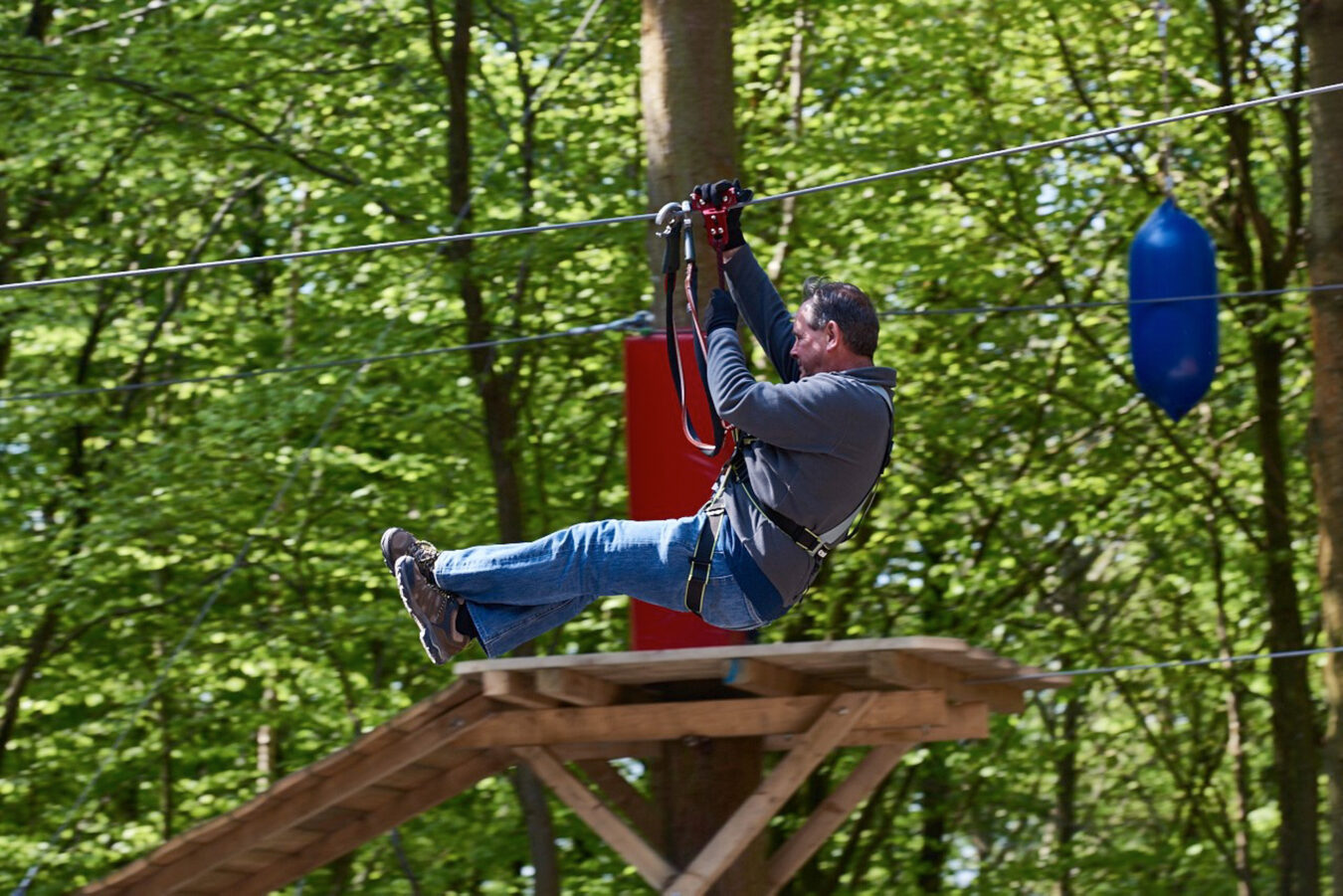 Zip lining in the forest, Zip World Fforest