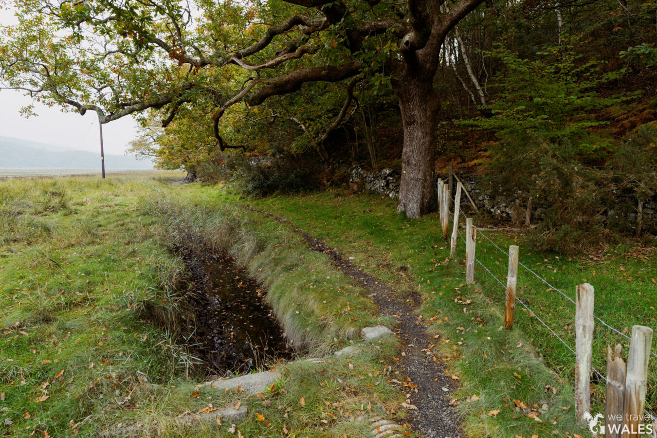 Path along the river