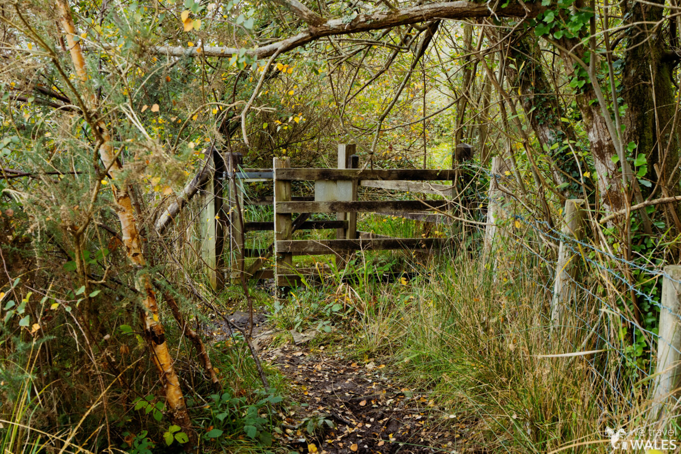 Kissing gate