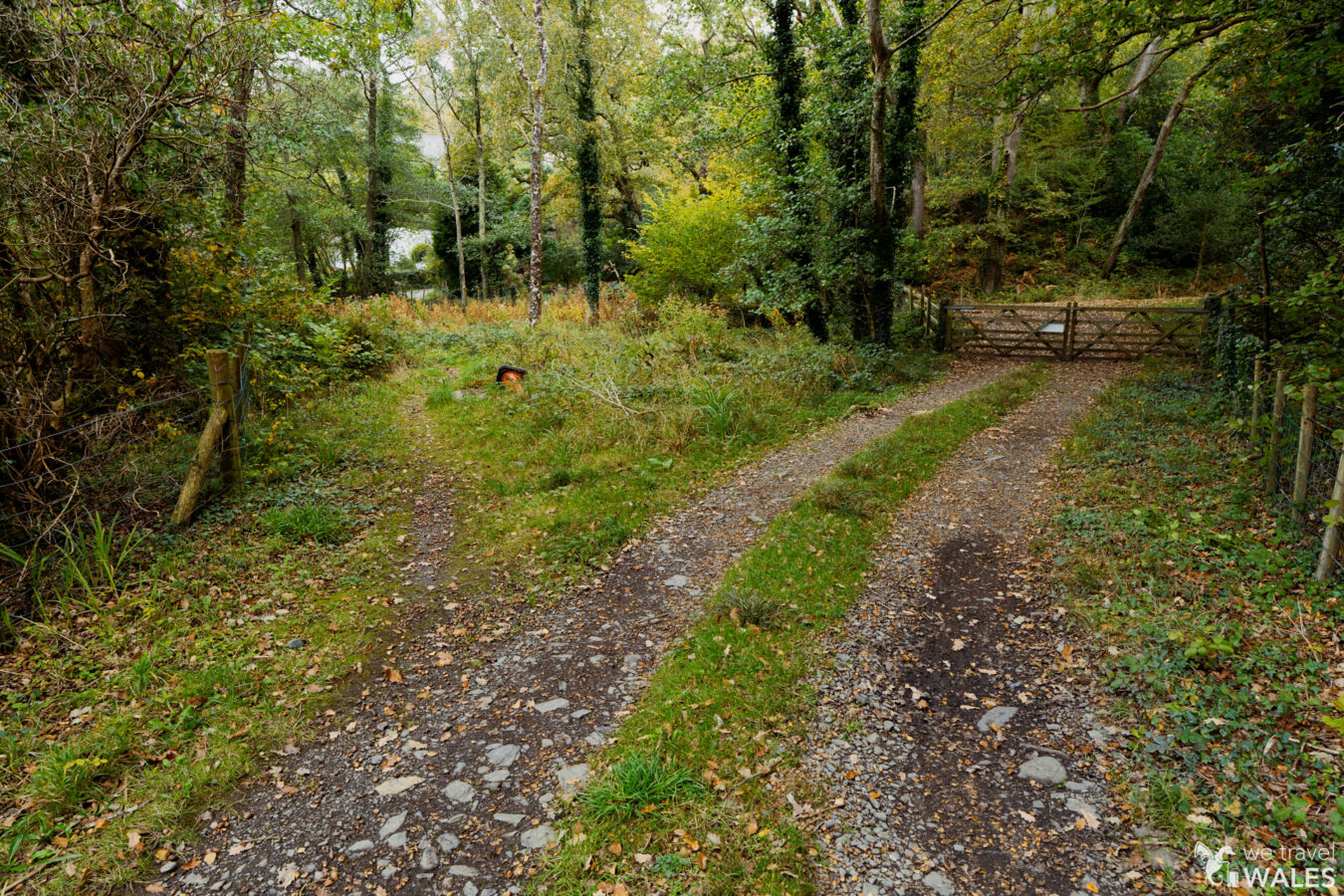 Footpath branching off the track