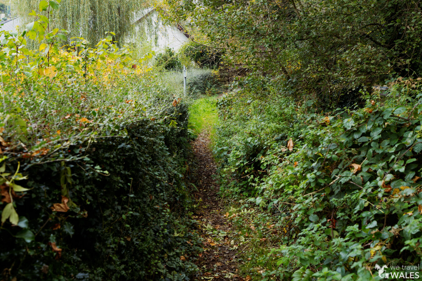 Narrow footpath