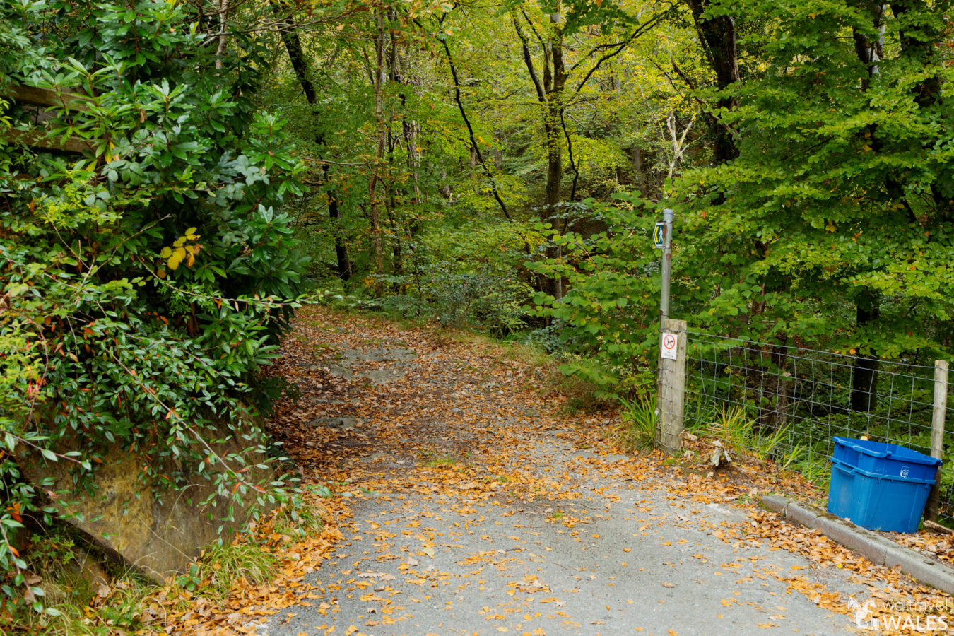 Entrance to Bontddu woodland