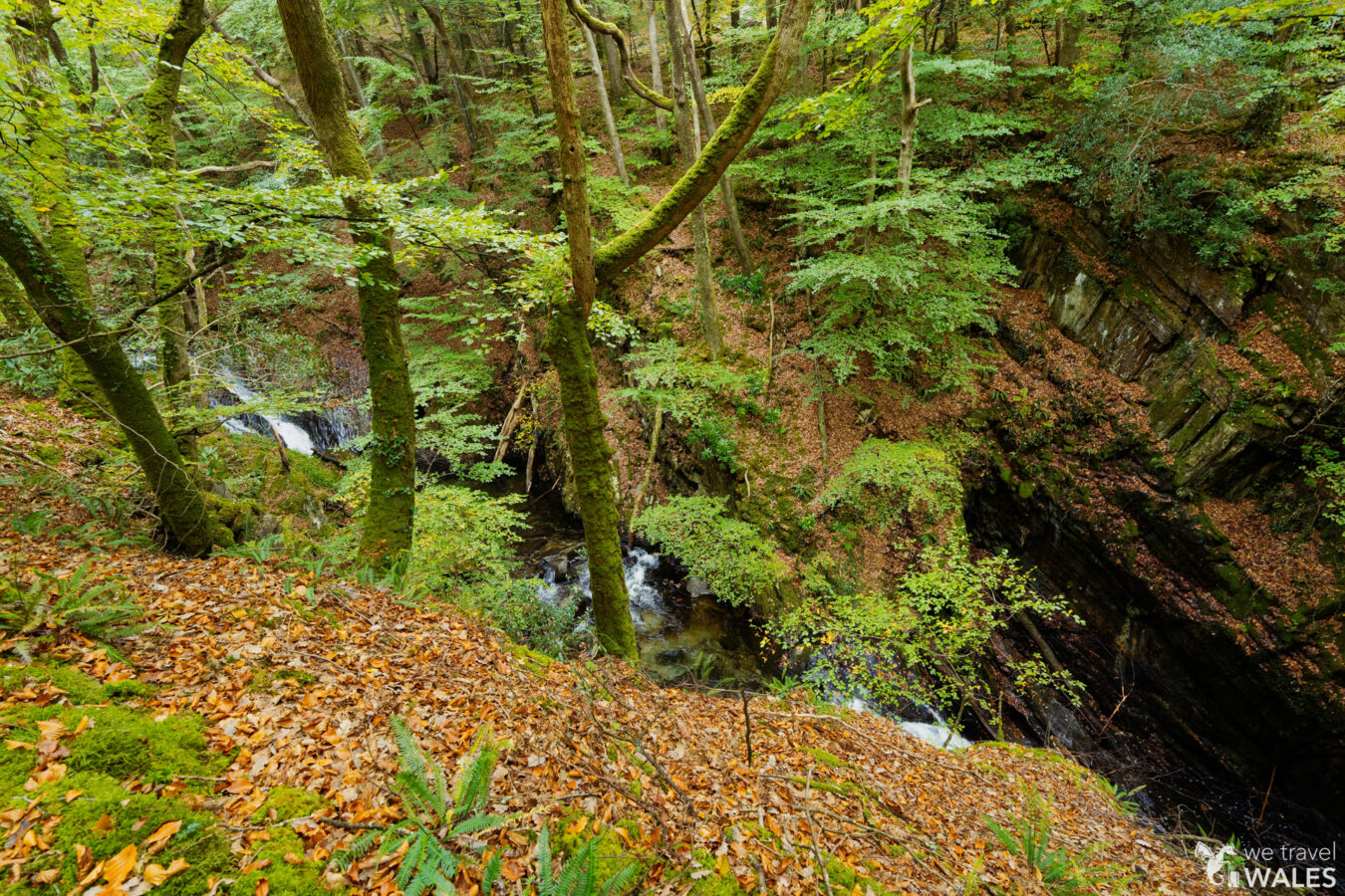 Deep gorge in Bontddu woodland