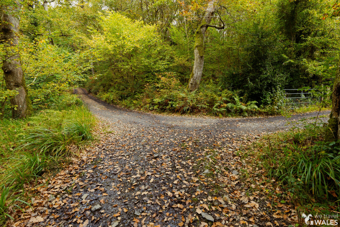 Path joins a farm track
