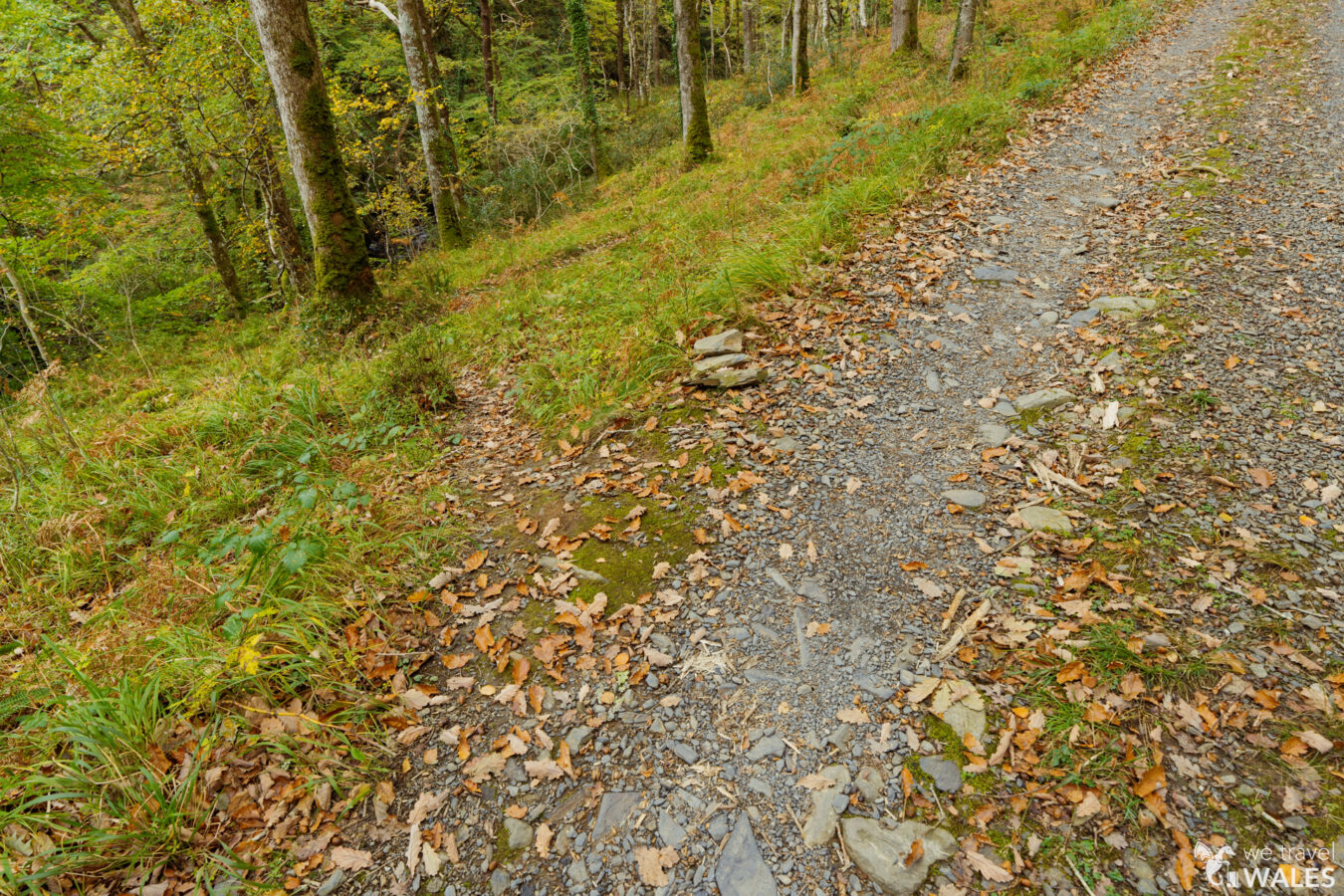 Small path branching off the main track