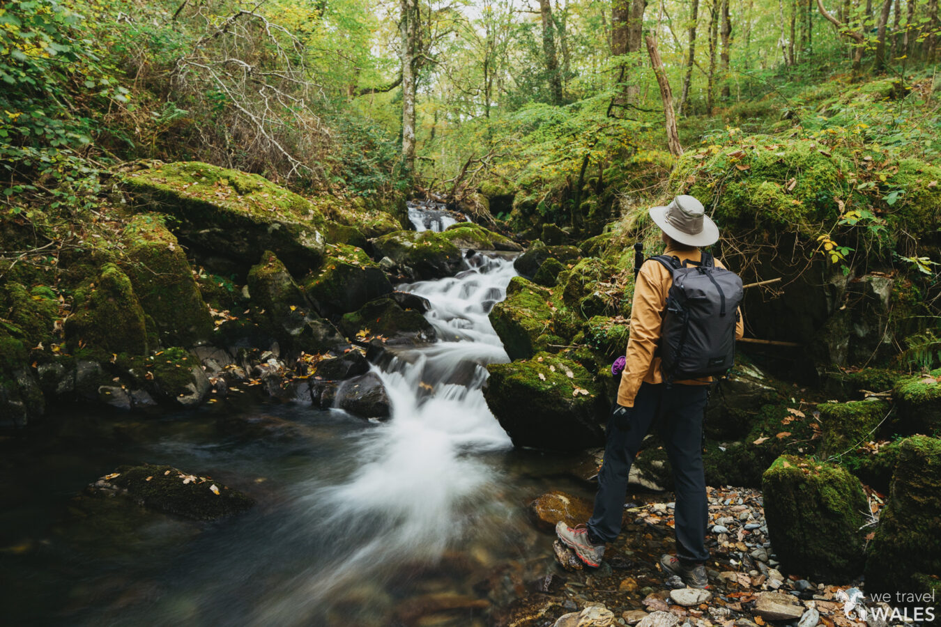 Man standing in front of small cascades