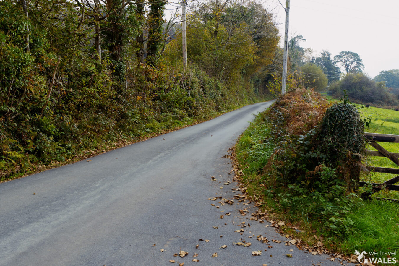 Small tarmarc road