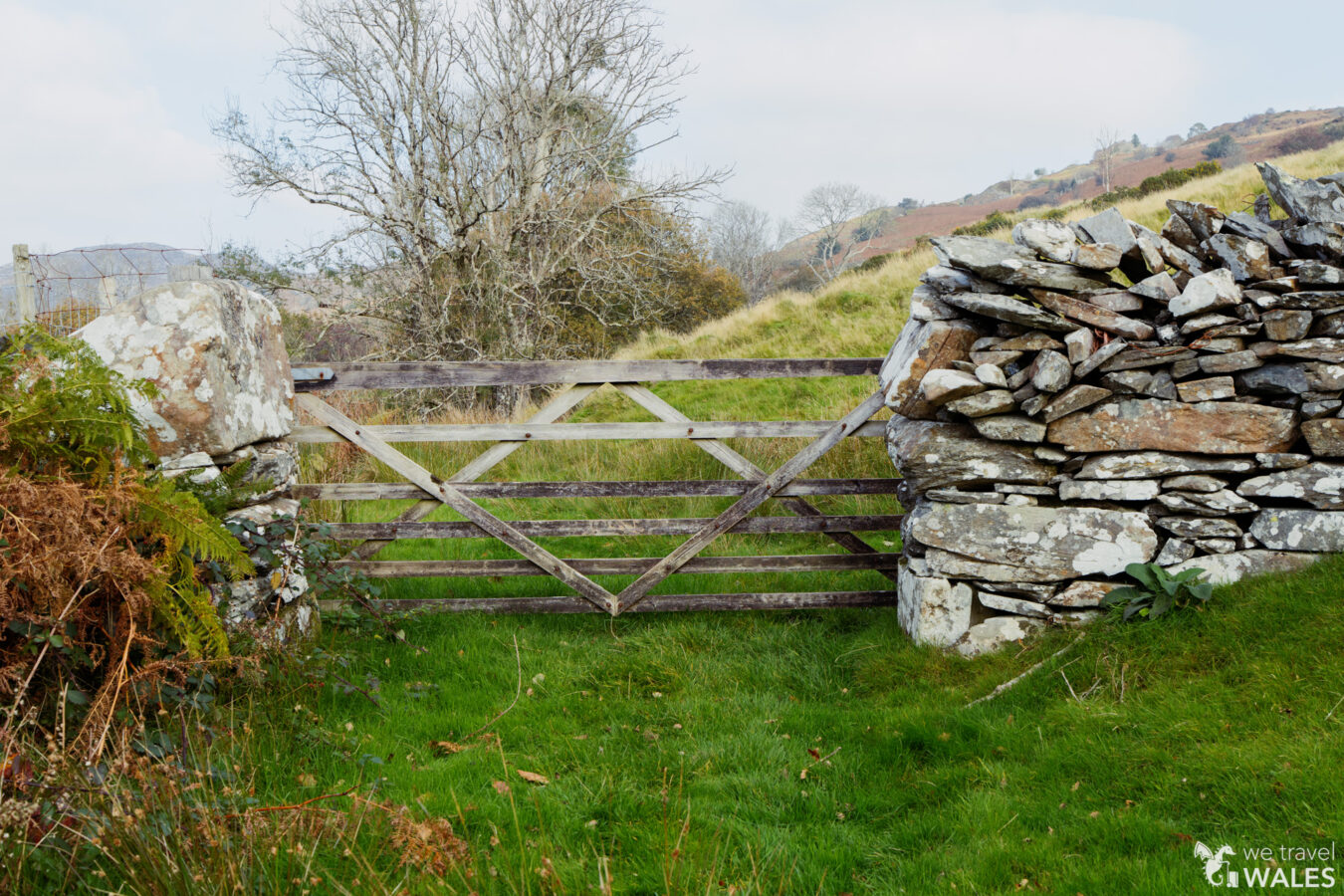 Old wooden gate