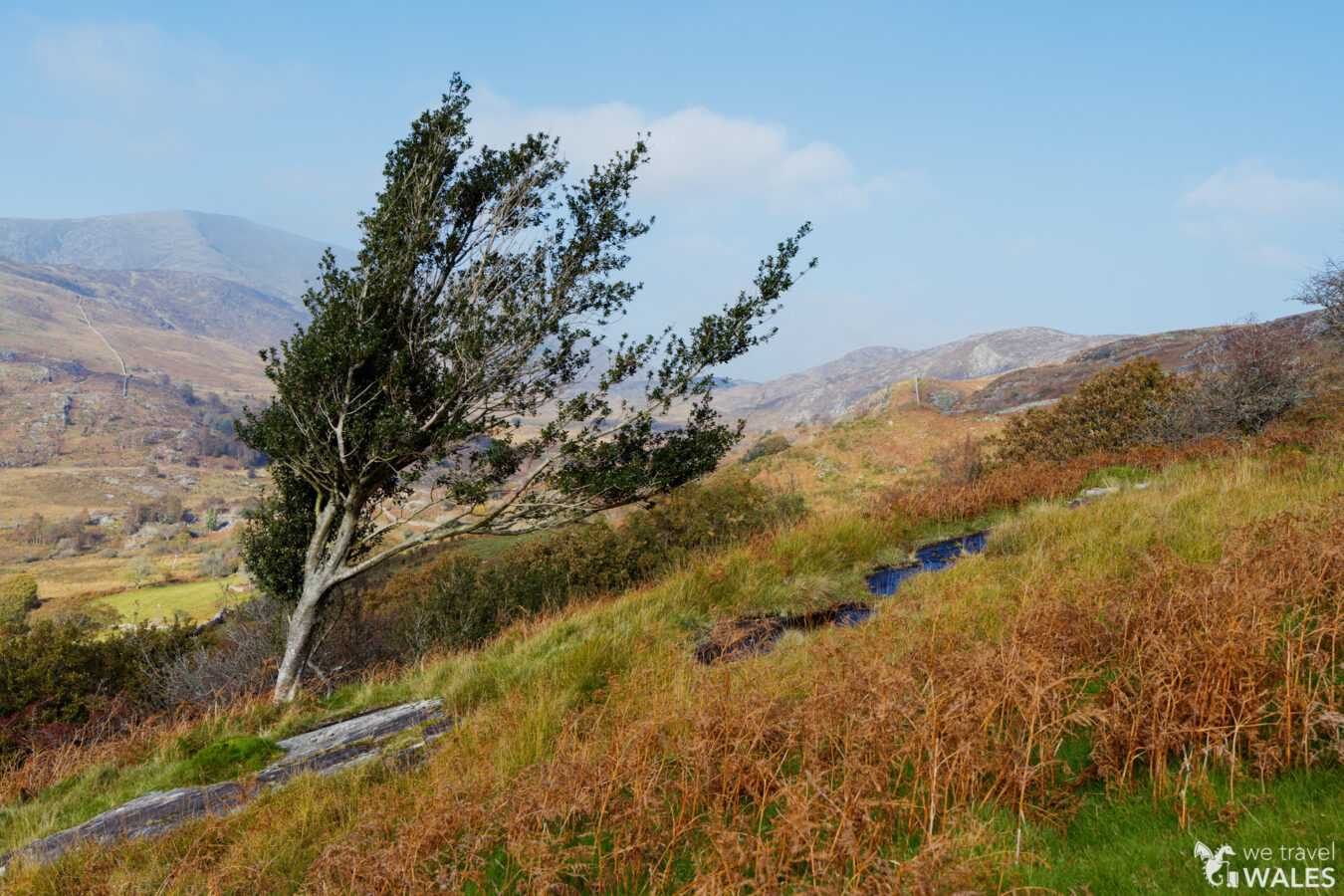 Mountain landscape around Clogau Gold Mine