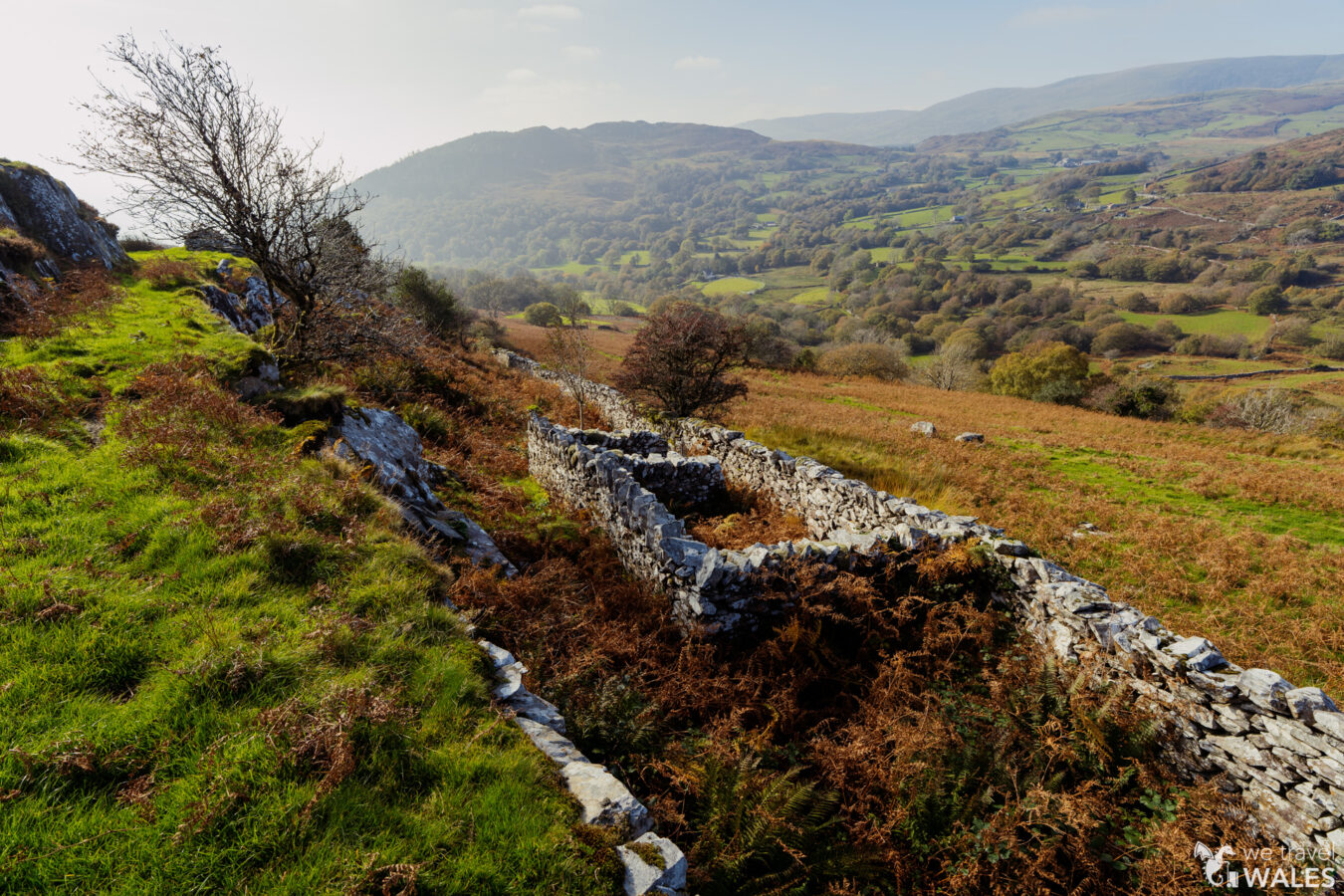 Ruins at Clogau Gold Mine