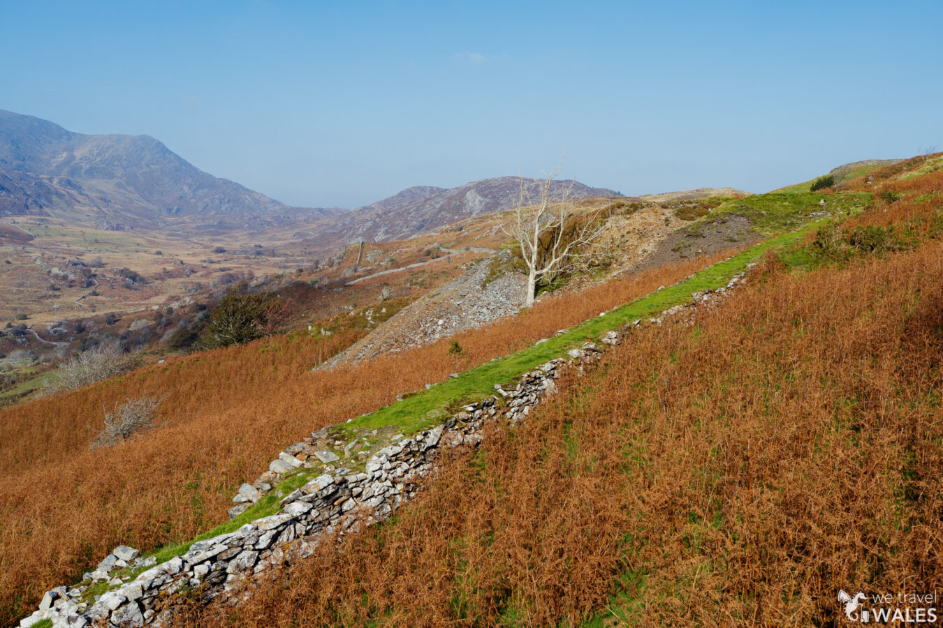 Ruins at Clogau Gold Mine