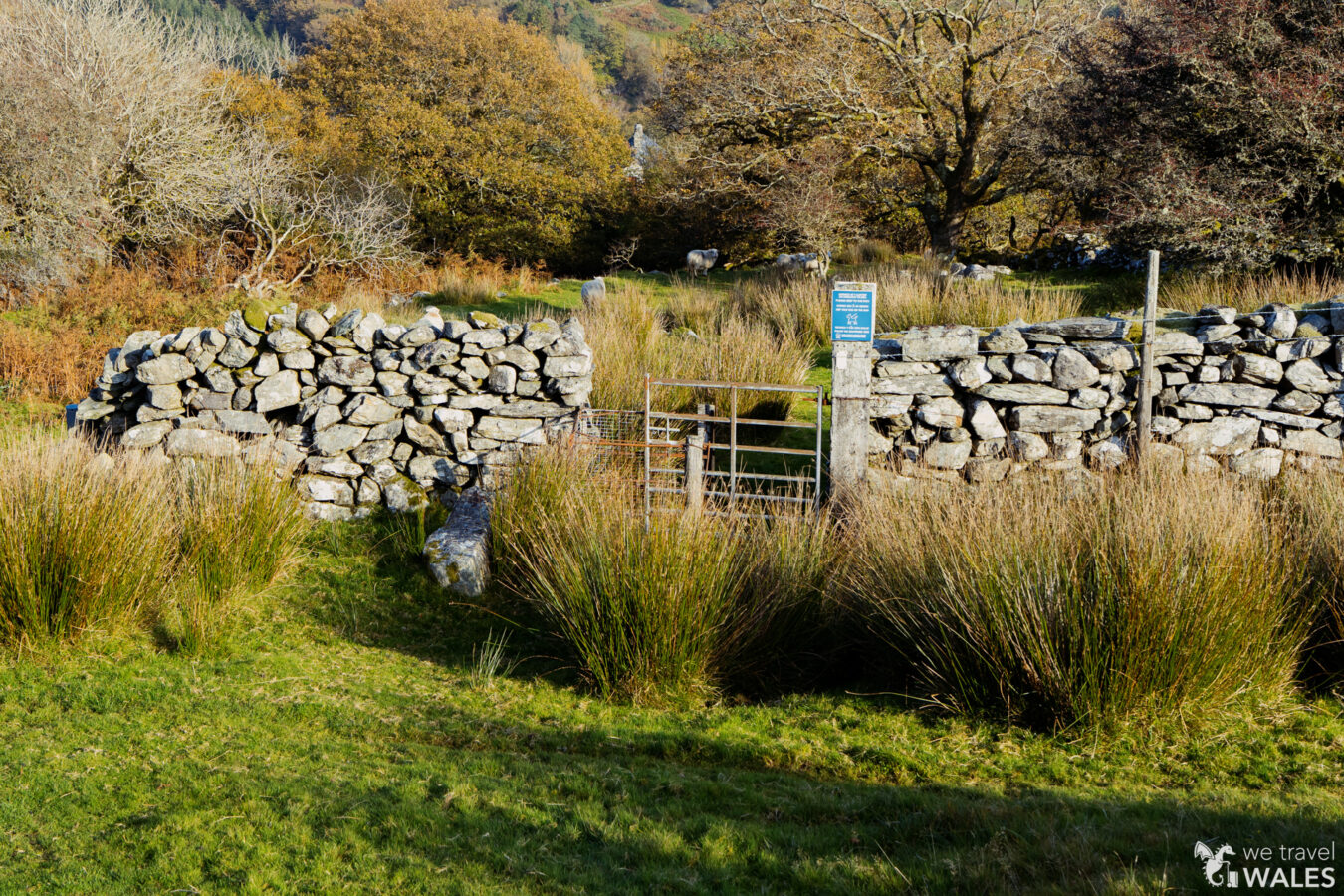 Kissing gate in the wall