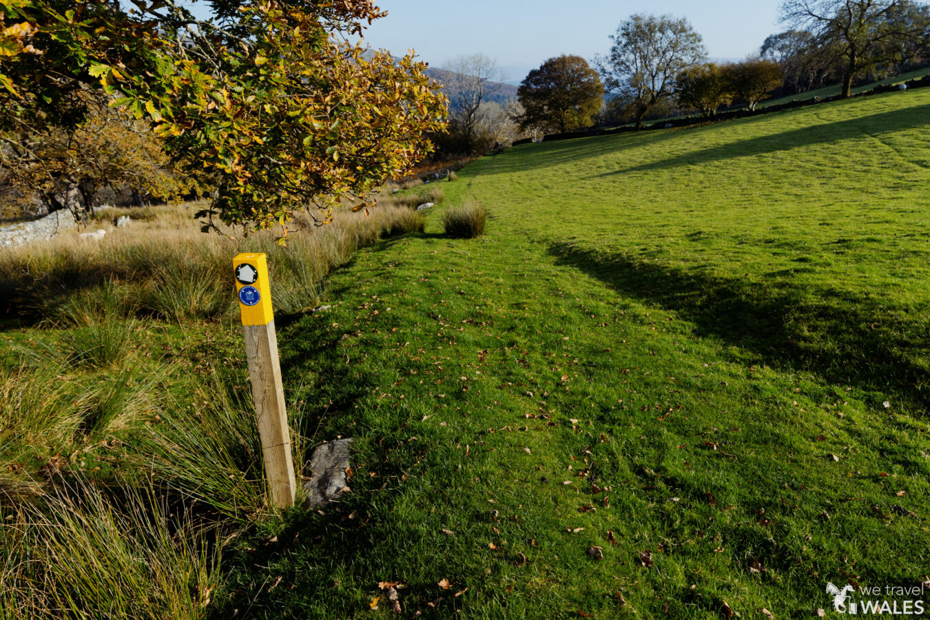 Signpost and grassy path