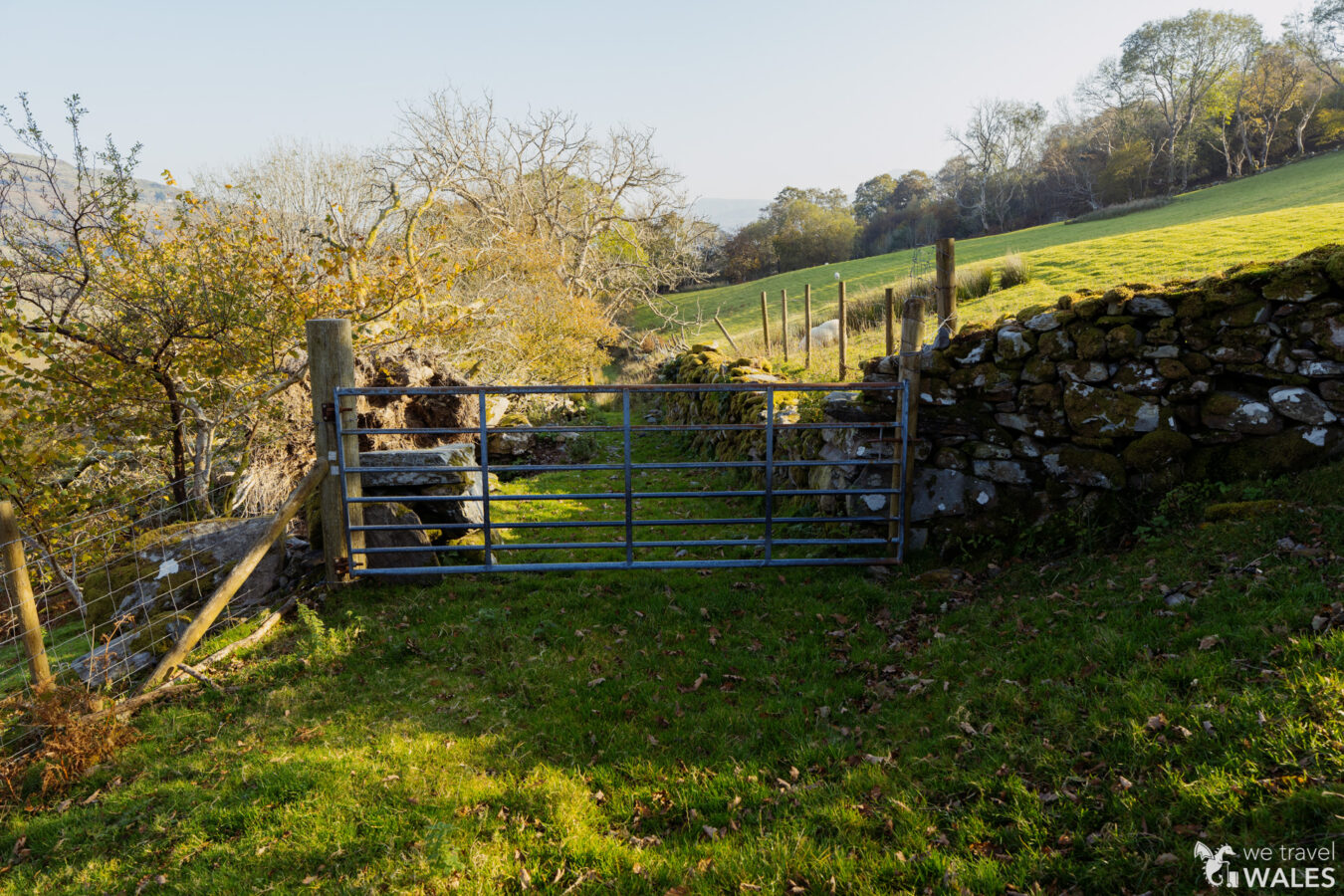 Farm gate