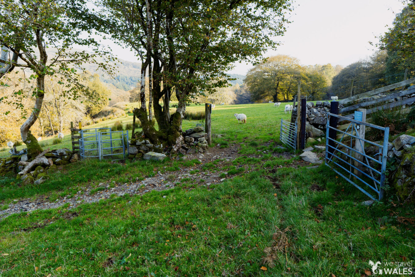 Kissing gate and farm gate side by side