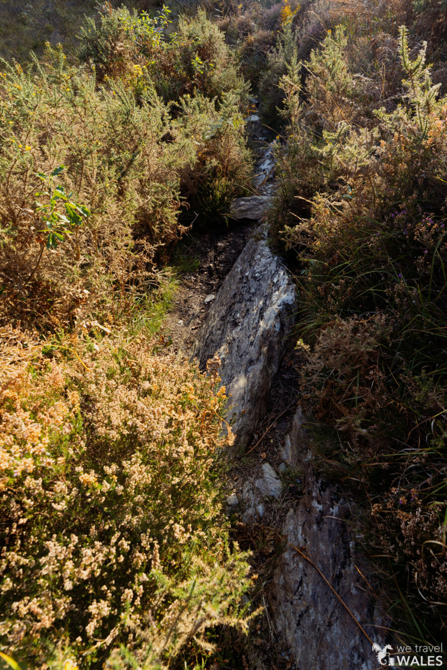 Narrow and rocky section of the path