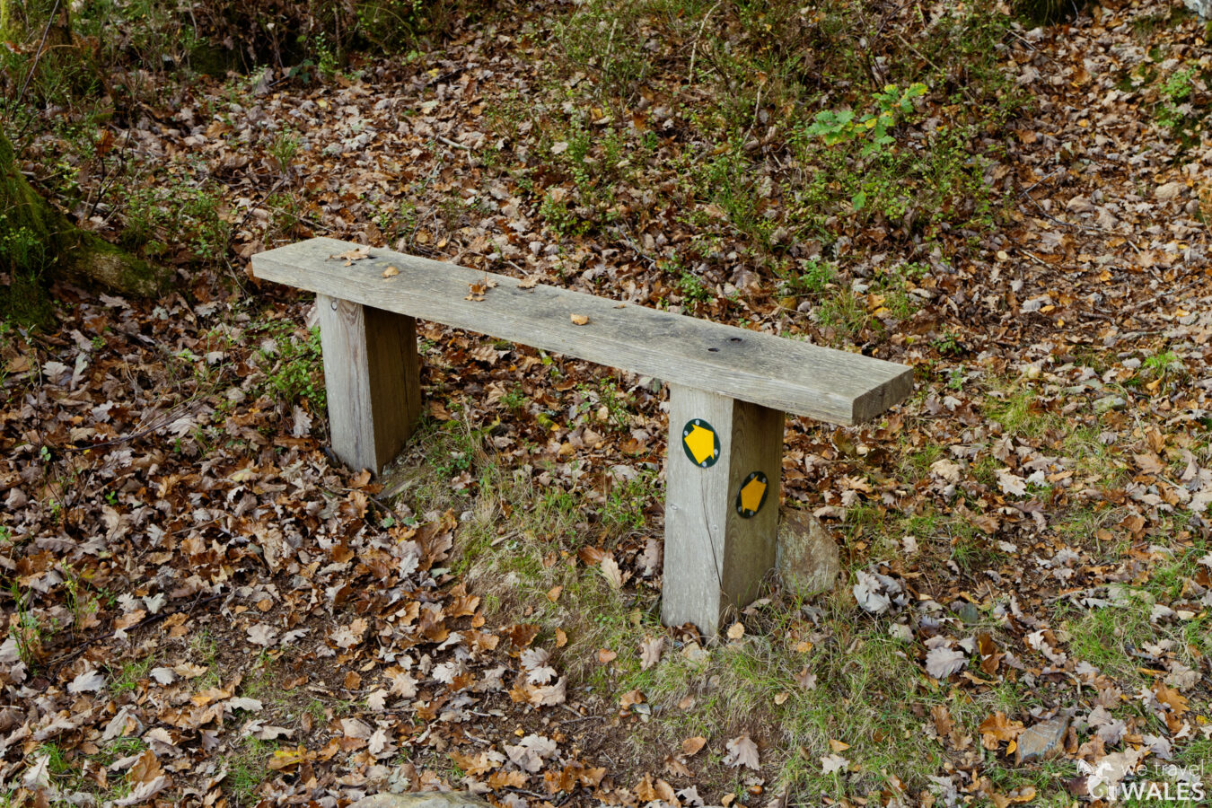 Bench