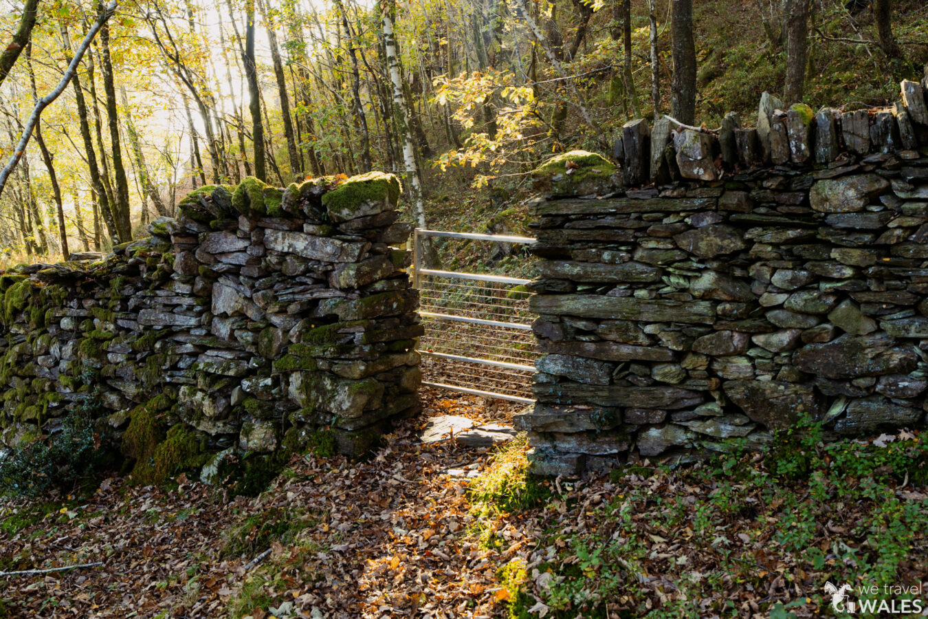 Small gate in the wall