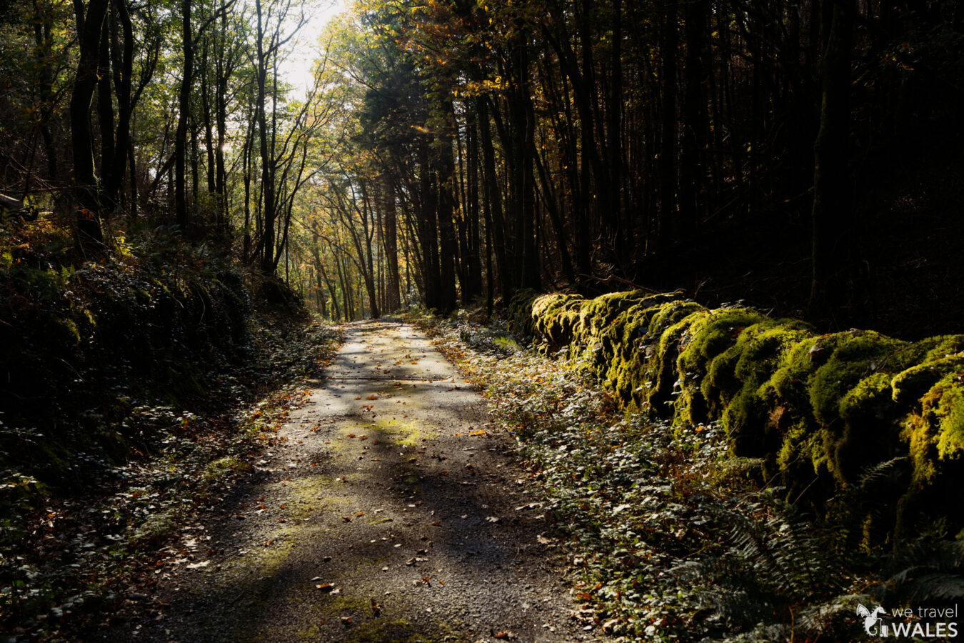 Tarmac road leading to the layby