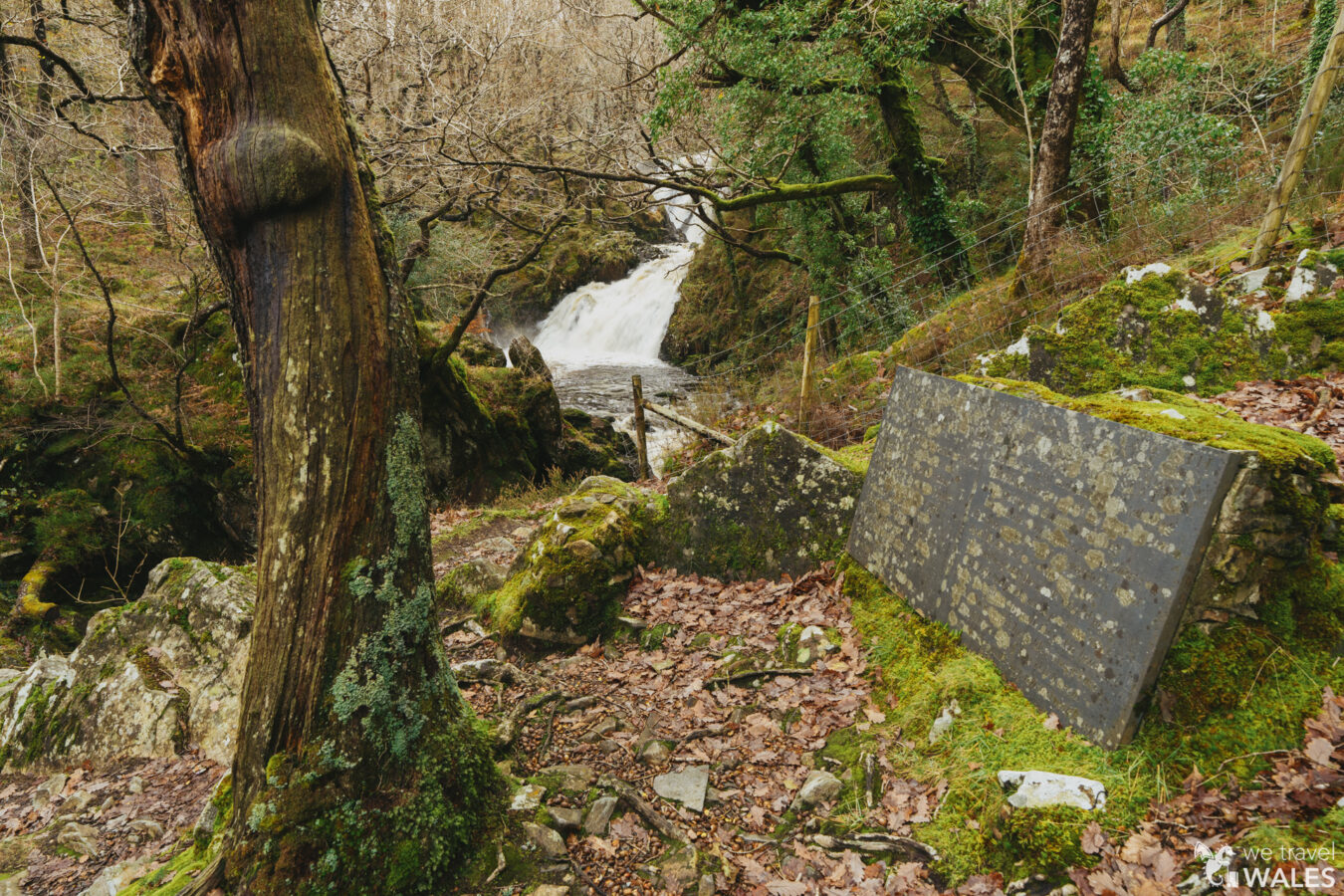 Black Falls in the distance, inside the woodland