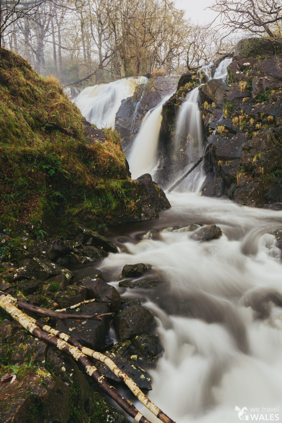 Black Falls, Ganllwyd
