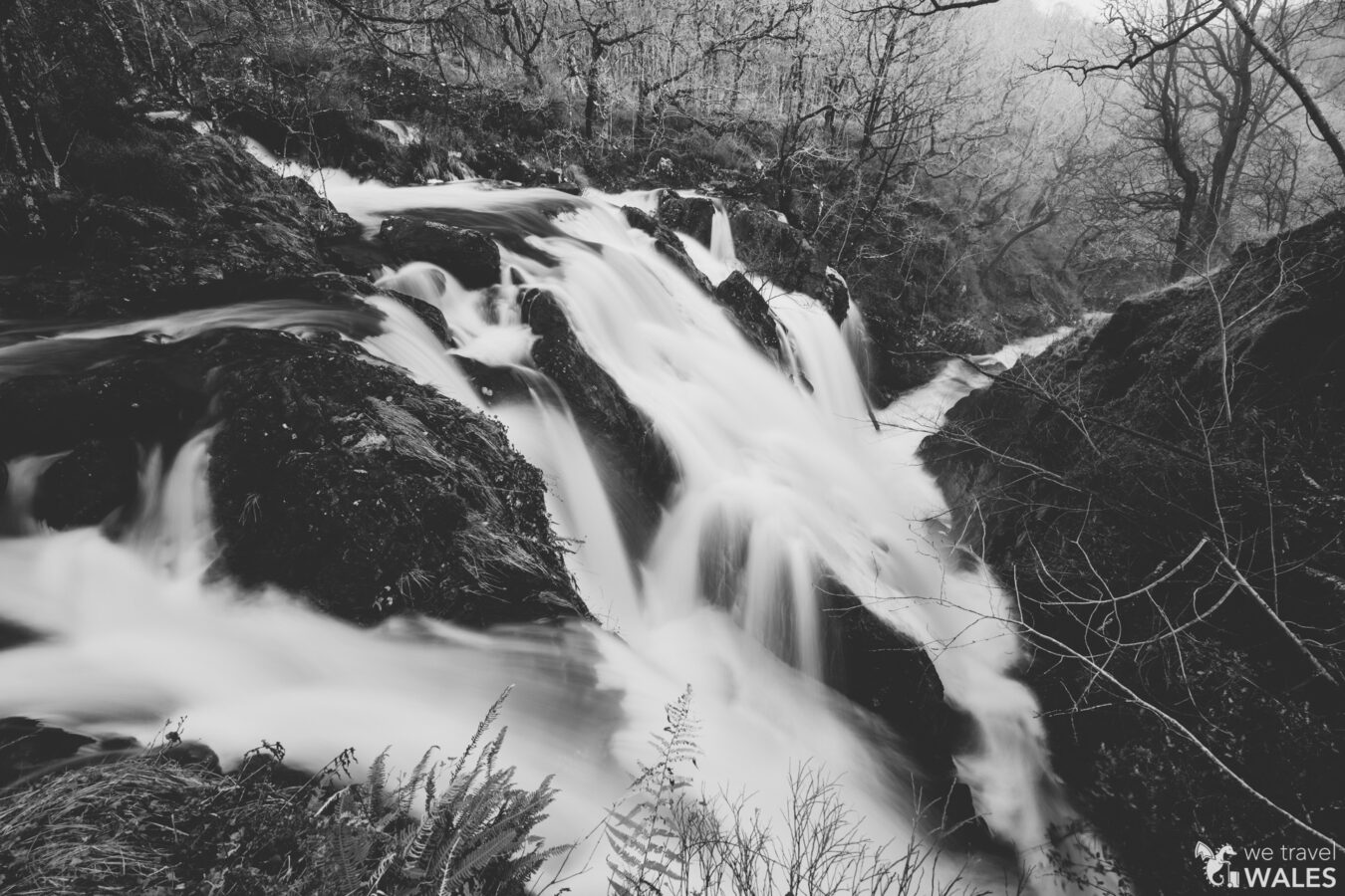 Black Falls, Ganllwyd