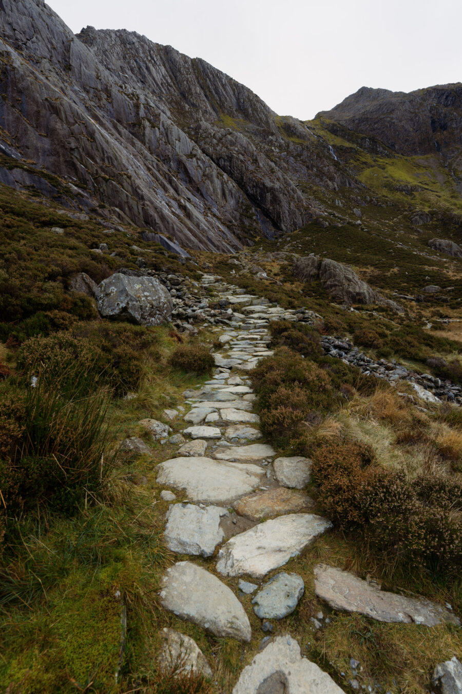 Trail along the lake